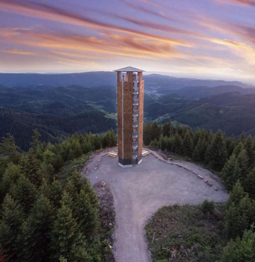 Gaestehaus Haaser Hotel Bad Peterstal-Griesbach Luaran gambar