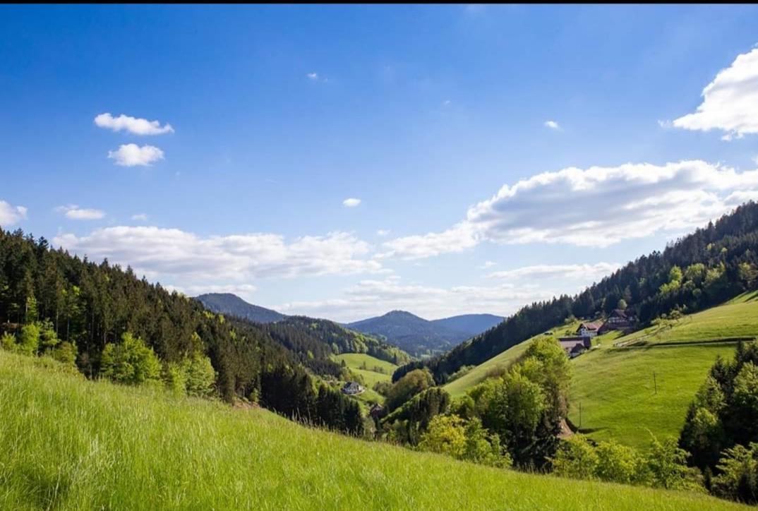 Gaestehaus Haaser Hotel Bad Peterstal-Griesbach Luaran gambar