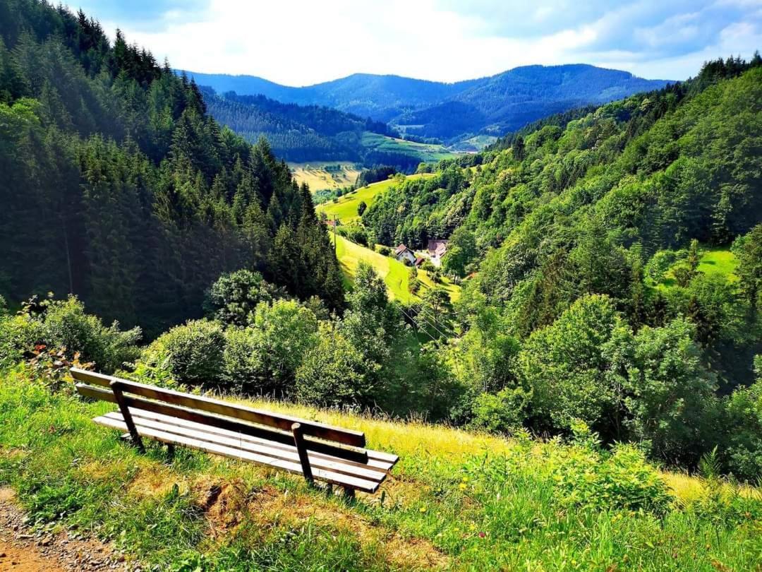 Gaestehaus Haaser Hotel Bad Peterstal-Griesbach Luaran gambar