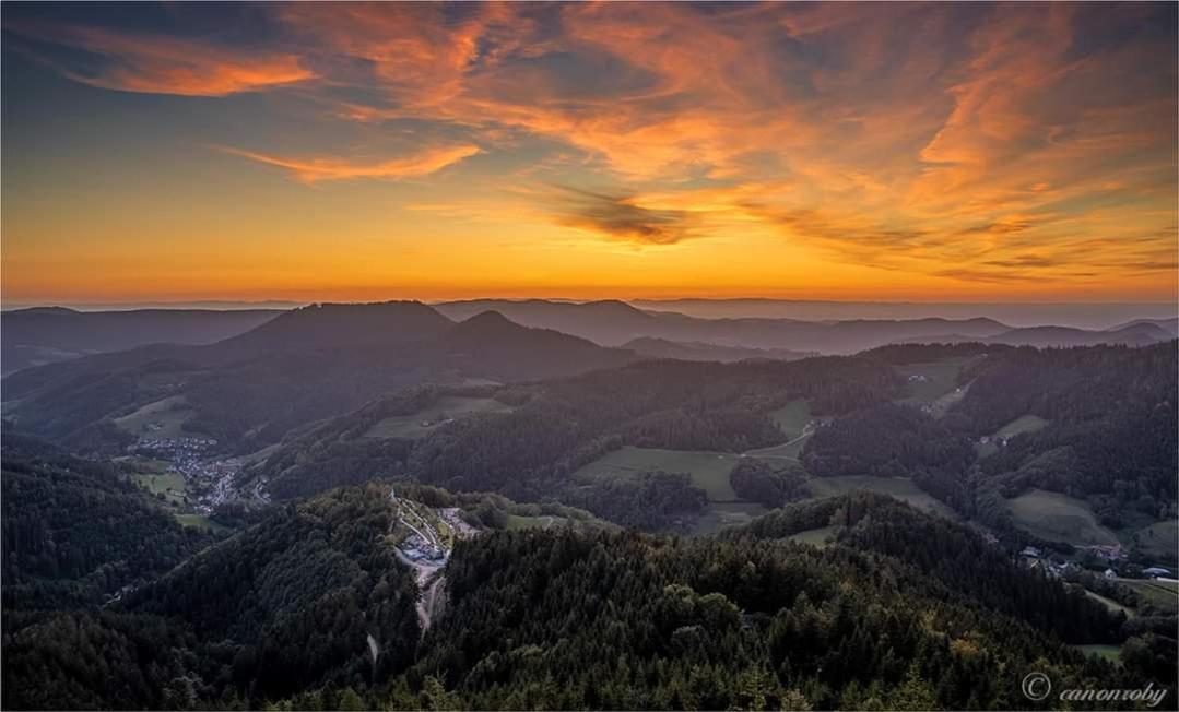 Gaestehaus Haaser Hotel Bad Peterstal-Griesbach Luaran gambar